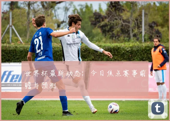 世界杯最新动态:今日焦点赛事前瞻与预测