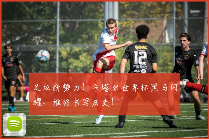 足坛新势力！卡塔尔世界杯黑马闪耀，谁将书写历史！